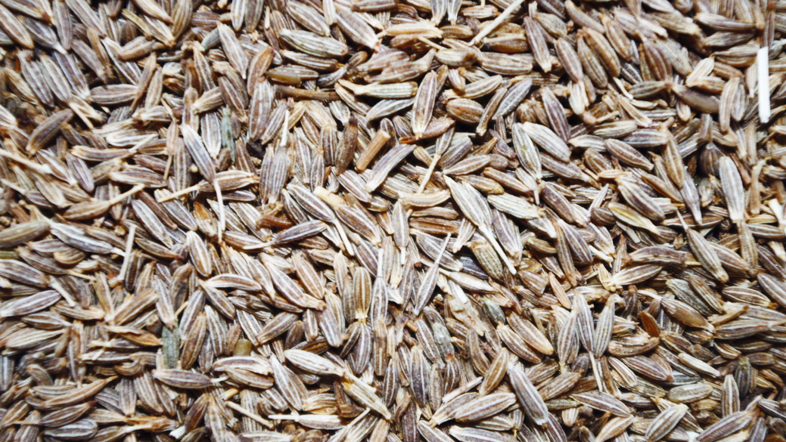 Cumin Seeds